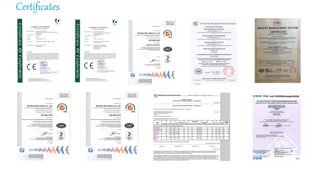 DC Electrical Motor for Automatic Vendor Machine//Massager/Automatic Curtain