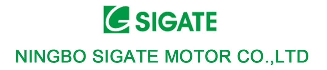 Sigate S45r 45mm Tubular Motor for Automatic Blinds/Shades/Awnings