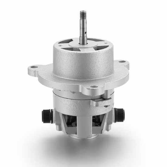 20 W 12000 U/min 110 V OEM-kundenspezifischer Vorhangstanzer-Entsafter, hohe Drehzahl, AC-Serie, Schredder, Spielzeugzentrifuge, einphasiger Universalmotor